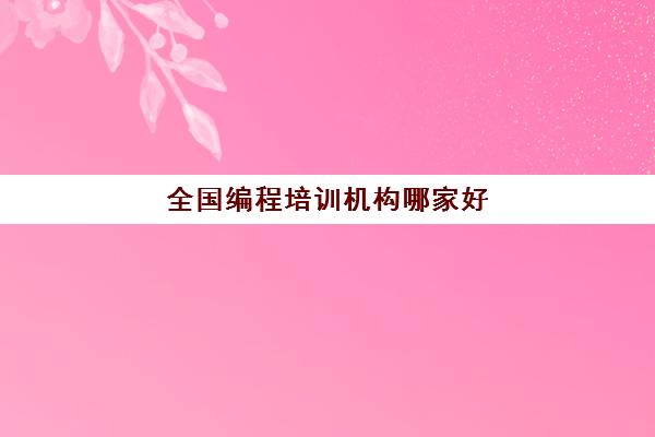 少儿编程培训机构哪家好（全国编程培训机构哪家好）