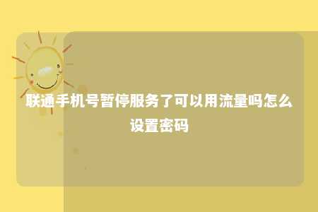 联通手机号暂停服务了可以用流量吗怎么设置密码